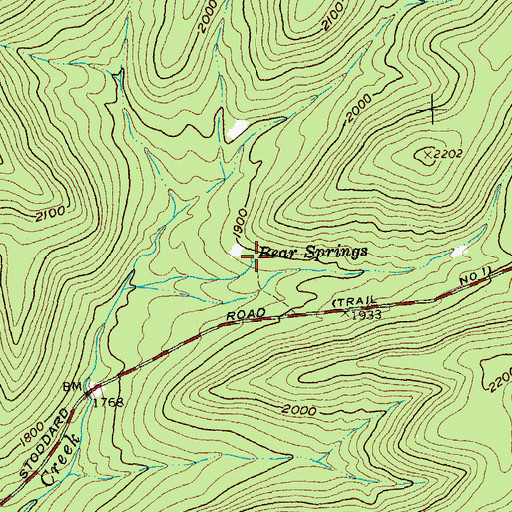Topographic Map of Bear Springs, NY