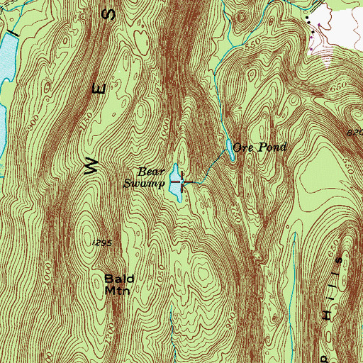 Topographic Map of Bear Swamp, NY