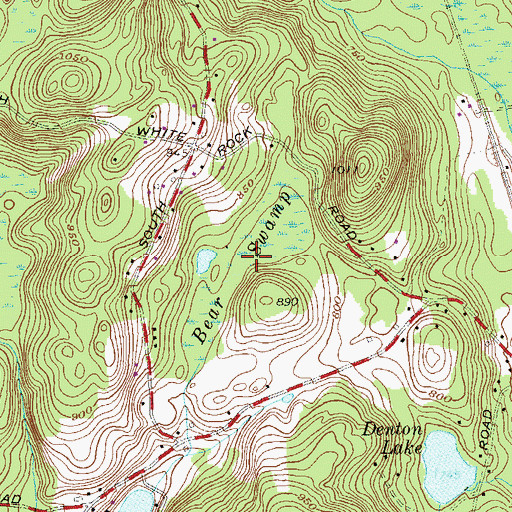 Topographic Map of Bear Swamp, NY