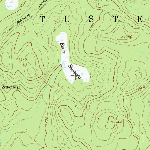 Topographic Map of Bear Swamp, NY