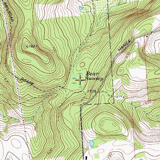 Topographic Map of Bear Swamp, NY