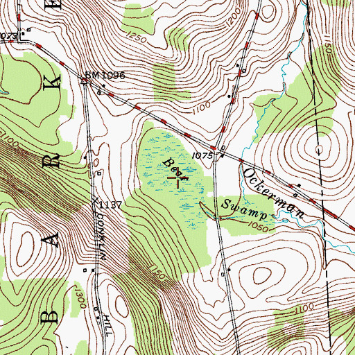 Topographic Map of Bear Swamp, NY