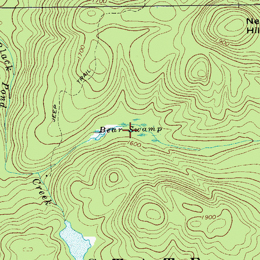 Topographic Map of Bear Swamp, NY