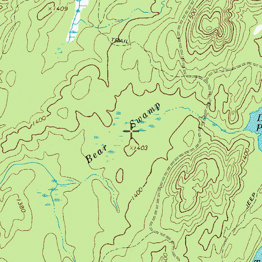Topographic Map of Bear Swamp, NY
