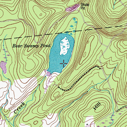 Topographic Map of Bear Swamp Pond, NY