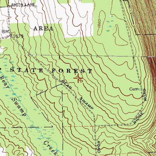 Topographic Map of Bear Swamp State Forest, NY