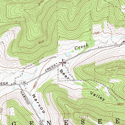 Topographic Map of Bear Valley, NY