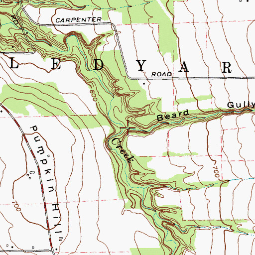 Topographic Map of Beard Gully, NY