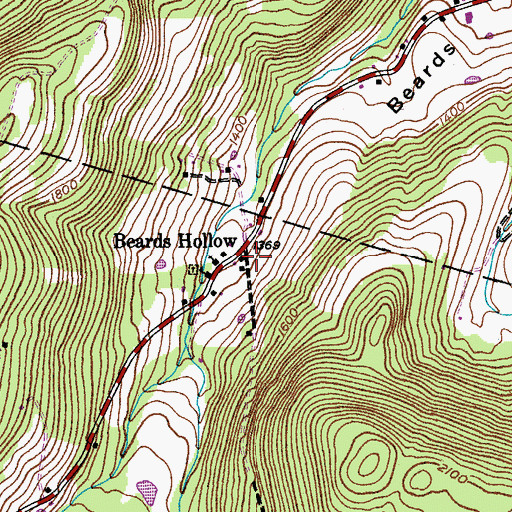Topographic Map of Beards Hollow, NY