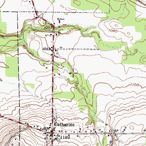Topographic Map of Beardsley Hollow, NY