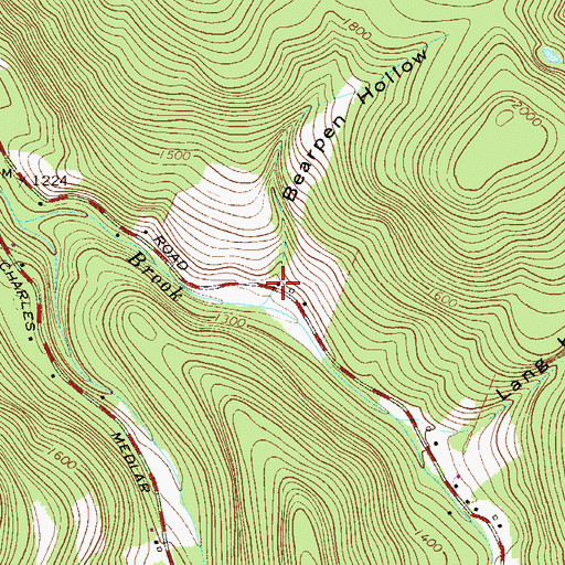 Topographic Map of Bearpen Hollow, NY