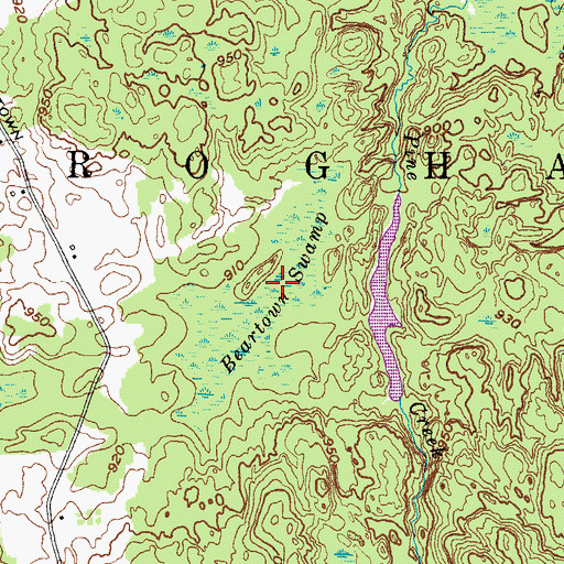 Topographic Map of Beartown Swamp, NY