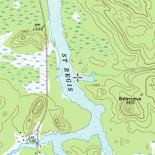 Topographic Map of Beaver Brook, NY