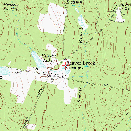 Topographic Map of Beaver Brook Corners, NY
