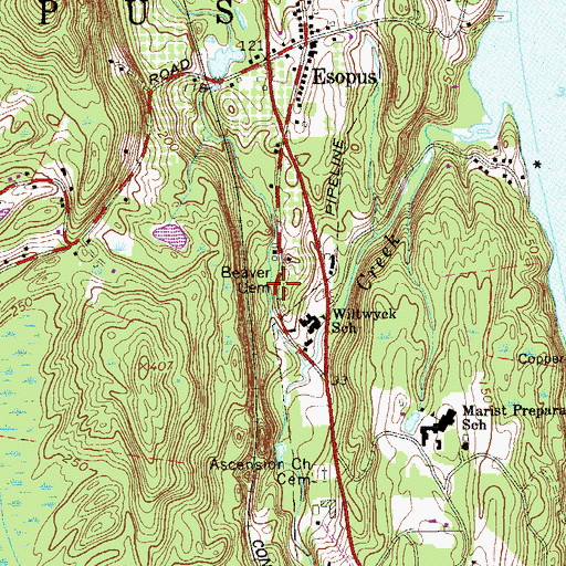 Topographic Map of Beaver Cemetery, NY