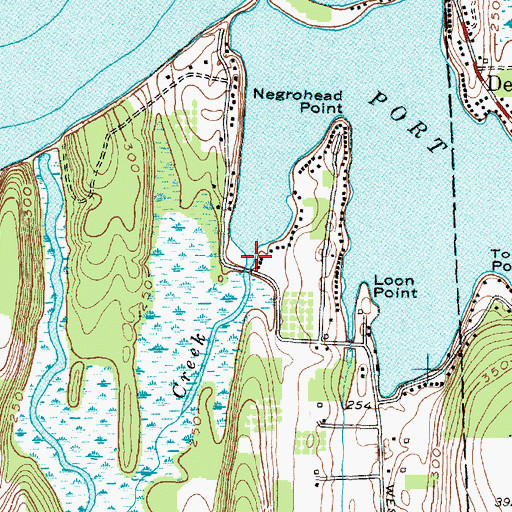 Topographic Map of Beaver Creek, NY