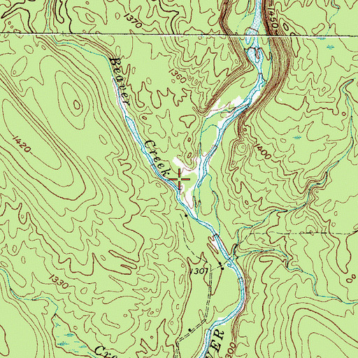 Topographic Map of Beaver Creek, NY