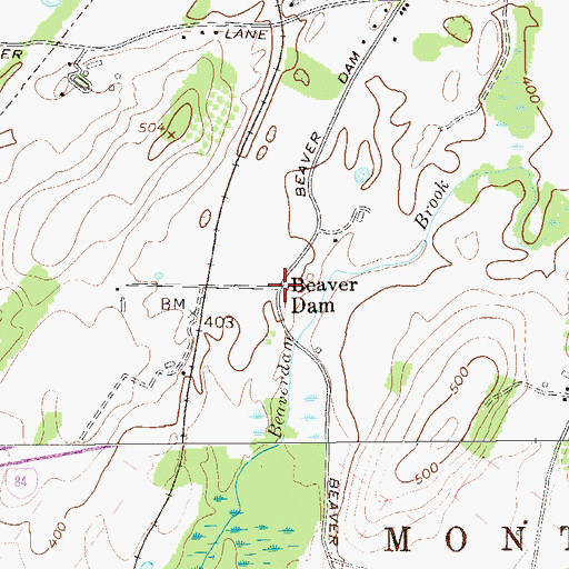 Topographic Map of Beaver Dam, NY