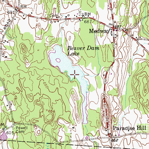 Topographic Map of Beaver Dam Lake, NY