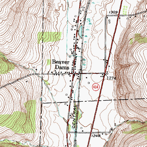 Topographic Map of Beaver Dams, NY