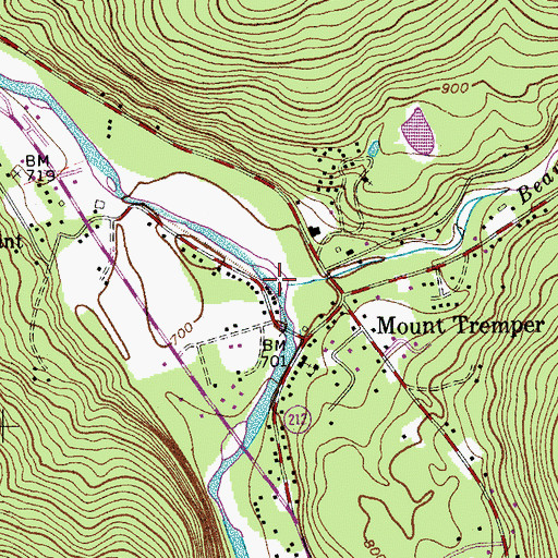 Topographic Map of Beaver Kill, NY