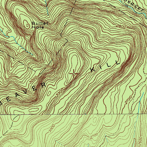 Topographic Map of Beaver Kill Range, NY