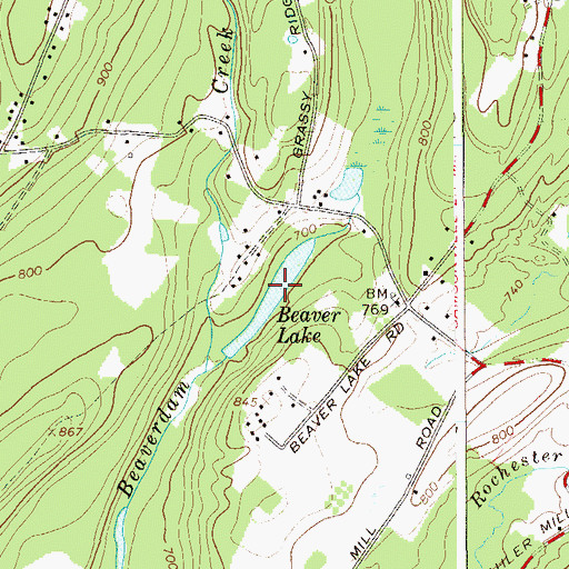Topographic Map of Beaver Lake, NY