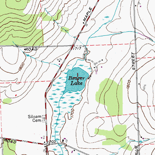 Topographic Map of Beaver Lake, NY