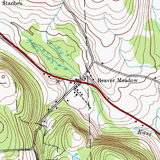 Topographic Map of Beaver Meadow, NY