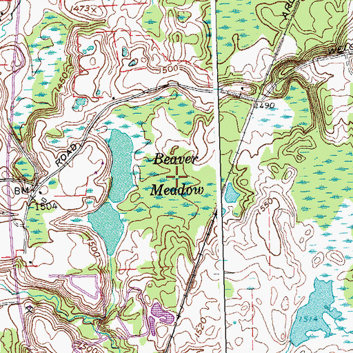 Topographic Map of Beaver Meadow, NY