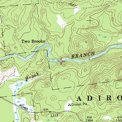 Topographic Map of Beaver Meadow Brook, NY