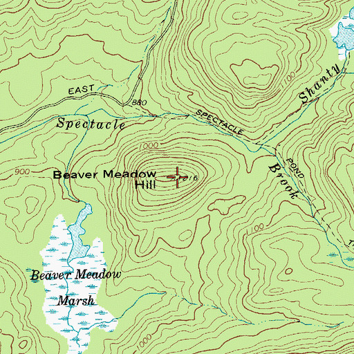 Topographic Map of Beaver Meadow Hill, NY
