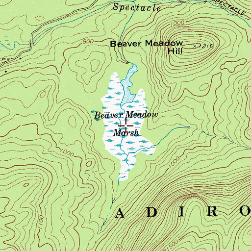 Topographic Map of Beaver Meadow Marsh, NY