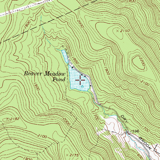 Topographic Map of Beaver Meadow Pond, NY