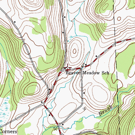 Topographic Map of Beaver Meadow School, NY