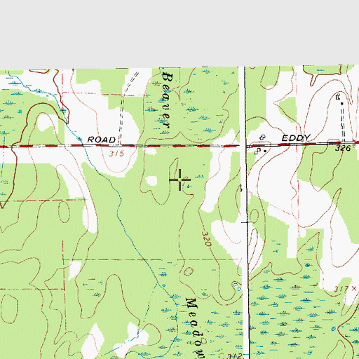 Topographic Map of Beaver Meadows, NY