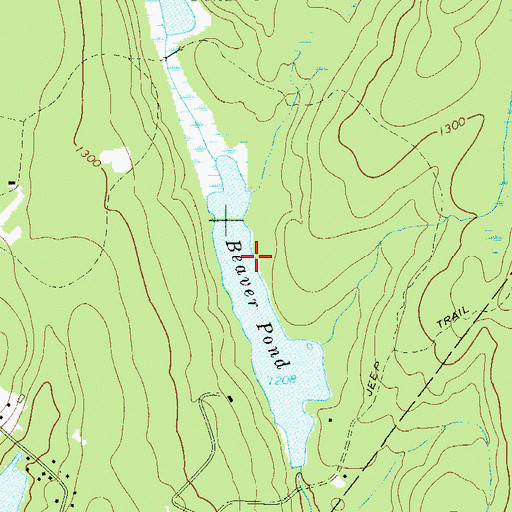 Topographic Map of Beaver Pond, NY