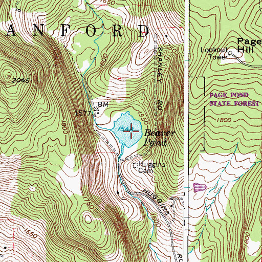 Topographic Map of Beaver Pond, NY