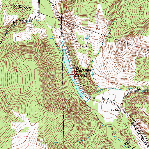 Topographic Map of Beaver Pond, NY