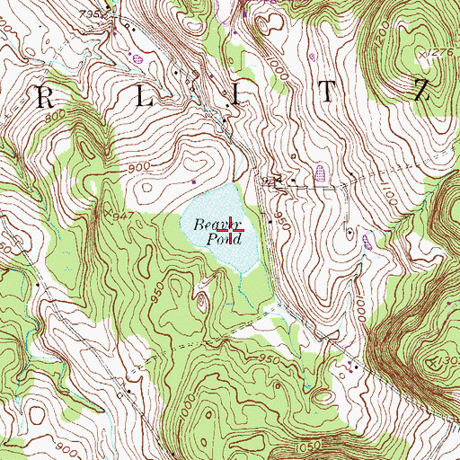 Topographic Map of Beaver Pond, NY