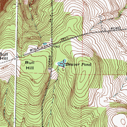 Topographic Map of Beaver Pond, NY