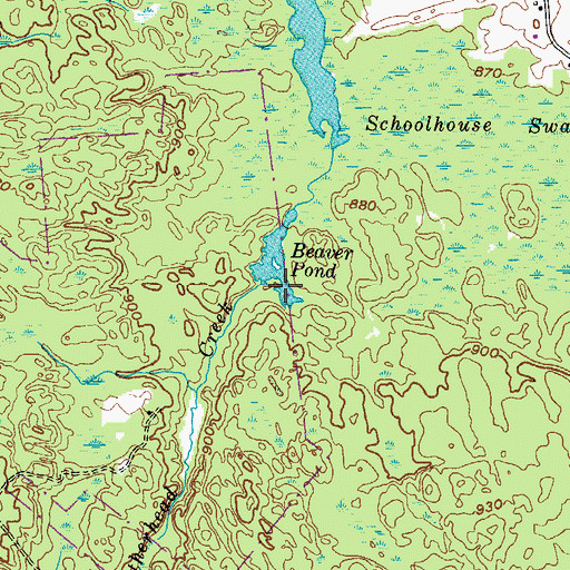 Topographic Map of Beaver Pond, NY