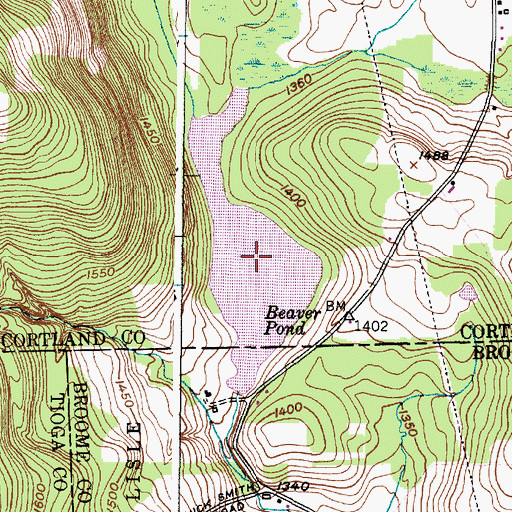 Topographic Map of Beaver Pond, NY