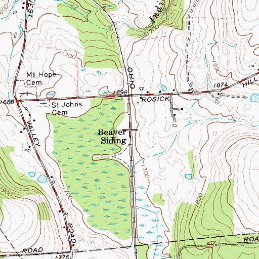 Topographic Map of Beaver Siding, NY