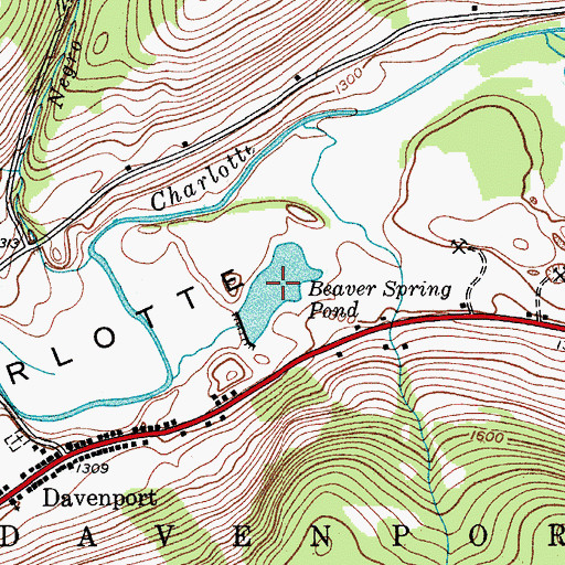 Topographic Map of Beaver Spring Pond, NY