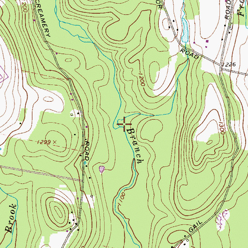 Topographic Map of Beaverdam Brook, NY