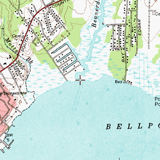Topographic Map of Beaverdam Creek, NY