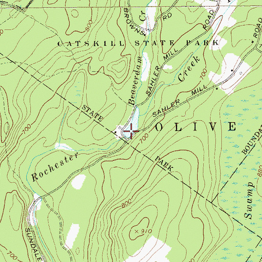Topographic Map of Beaverdam Creek, NY