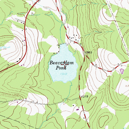 Topographic Map of Beaverdam Pond, NY