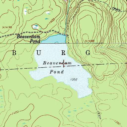 Topographic Map of Beaverdam Pond, NY